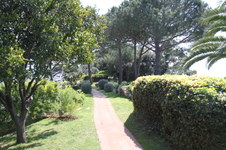 Enlarge photo 14