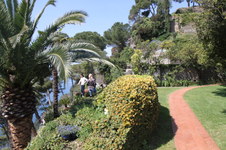 Enlarge photo 15