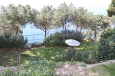 Enlarge photo 17