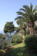 Enlarge photo 12