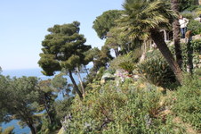 Enlarge photo 20