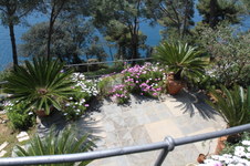 Enlarge photo 19