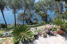 Enlarge photo 5