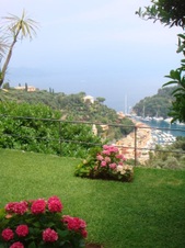 Enlarge photo 34