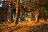 Enlarge photo 11
