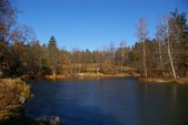 Enlarge photo 36