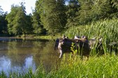 Enlarge photo 39
