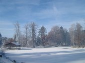 Enlarge photo 40