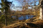 Enlarge photo 41
