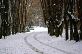 Enlarge photo 43