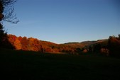 Enlarge photo 44