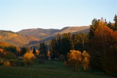 Enlarge photo 45