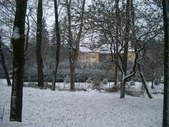 Enlarge photo 46