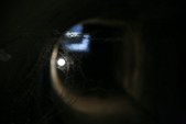 Enlarge photo 52