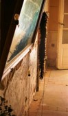 Enlarge photo 56