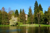 Enlarge photo 23