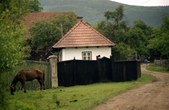 Enlarge photo 34