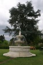 Enlarge photo 25