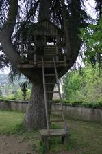 Enlarge photo 27