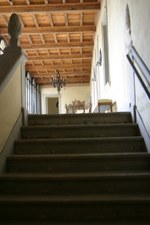 Enlarge photo 52