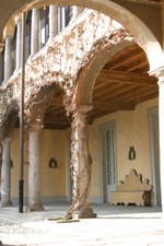 Enlarge photo 83