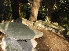 Enlarge photo 14