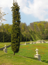 Enlarge photo 10