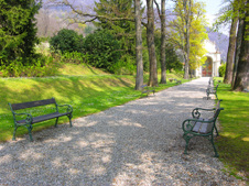 Enlarge photo 14