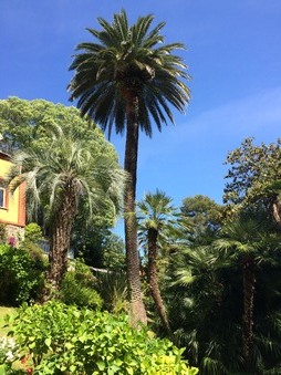 Enlarge photo 5