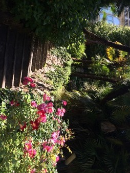 Enlarge photo 45