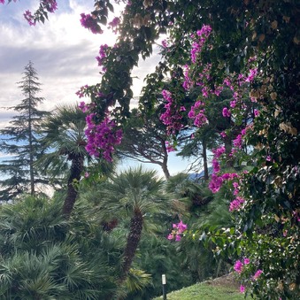 Villa Elsa