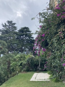Enlarge photo 49
