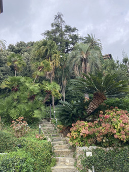 Enlarge photo 11