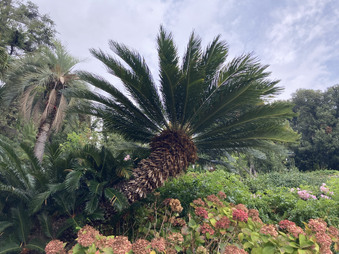 Enlarge photo 12