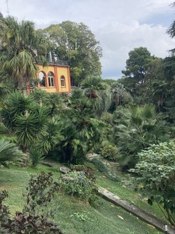 Enlarge photo 52