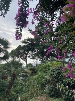 Enlarge photo 54