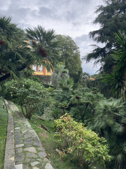 Enlarge photo 20