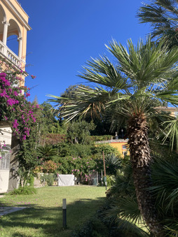 Enlarge photo 26