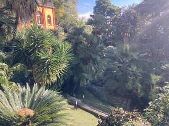 Enlarge photo 67