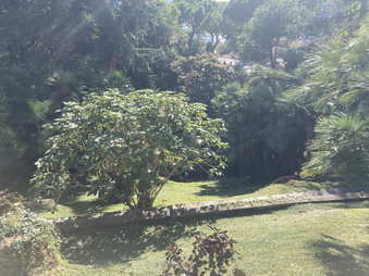Enlarge photo 29