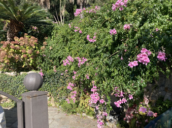 Enlarge photo 30