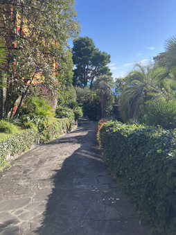 Enlarge photo 31