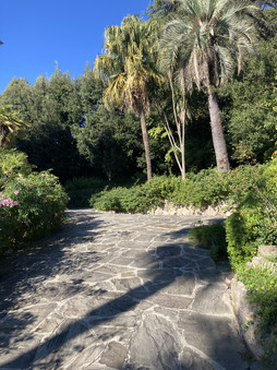 Enlarge photo 32