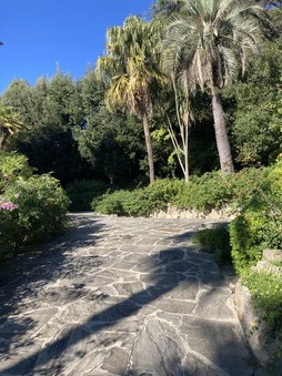 Enlarge photo 71