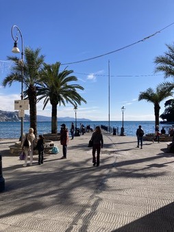 Enlarge photo 72