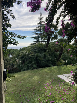 Enlarge photo 36