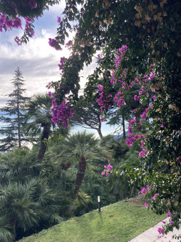 Enlarge photo 37