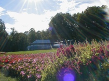 Enlarge photo 11