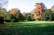 Enlarge photo 12