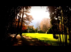 Enlarge photo 21